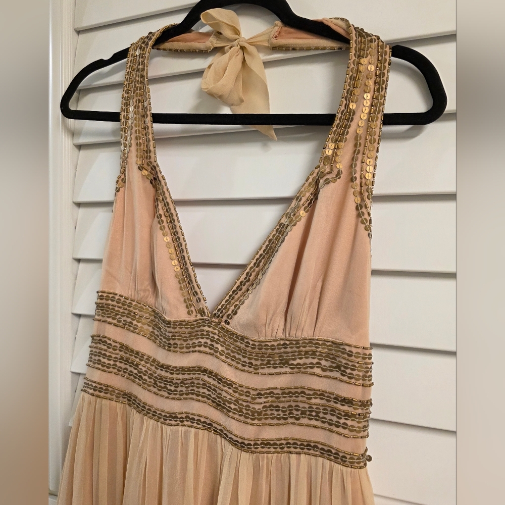Elegant Beige and Gold Sequin Dress